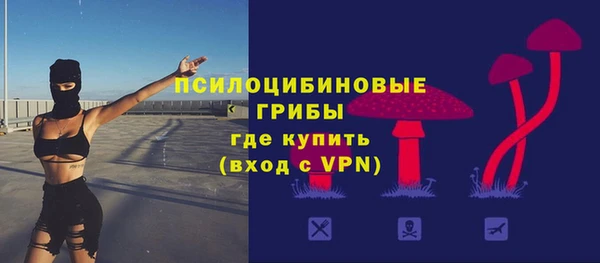 a pvp Кулебаки