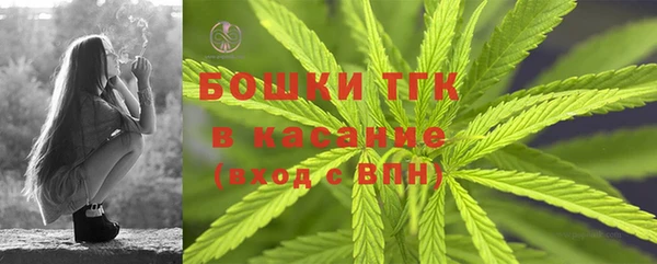 ALPHA PVP Куйбышев