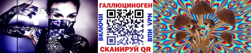 Псилоцибиновые грибы Magic Shrooms  даркнет сайт  Старый Крым 